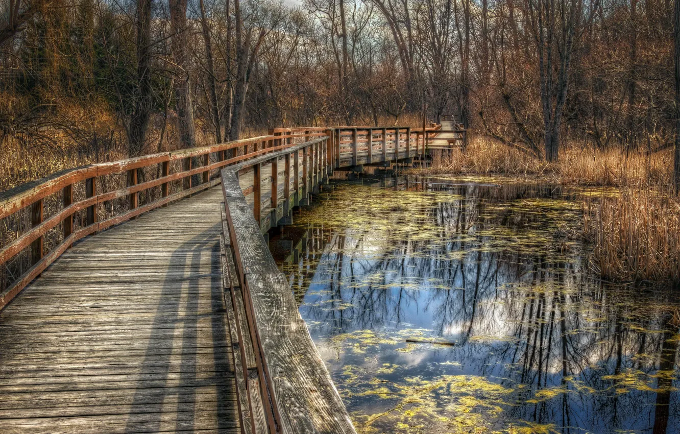 Photo wallpaper bridge, nature, Park