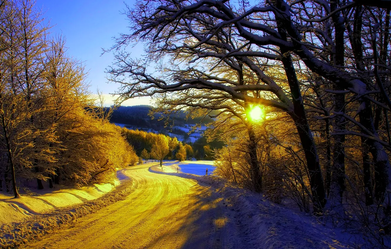 Photo wallpaper winter, road, forest, the sky, snow, trees, landscape, nature