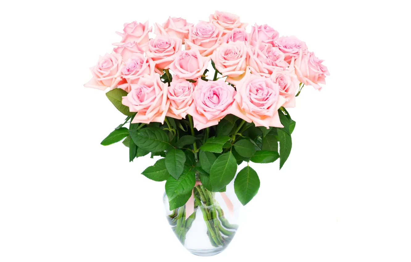 Photo wallpaper roses, love, pink, flowers, romantic, roses, pink roses
