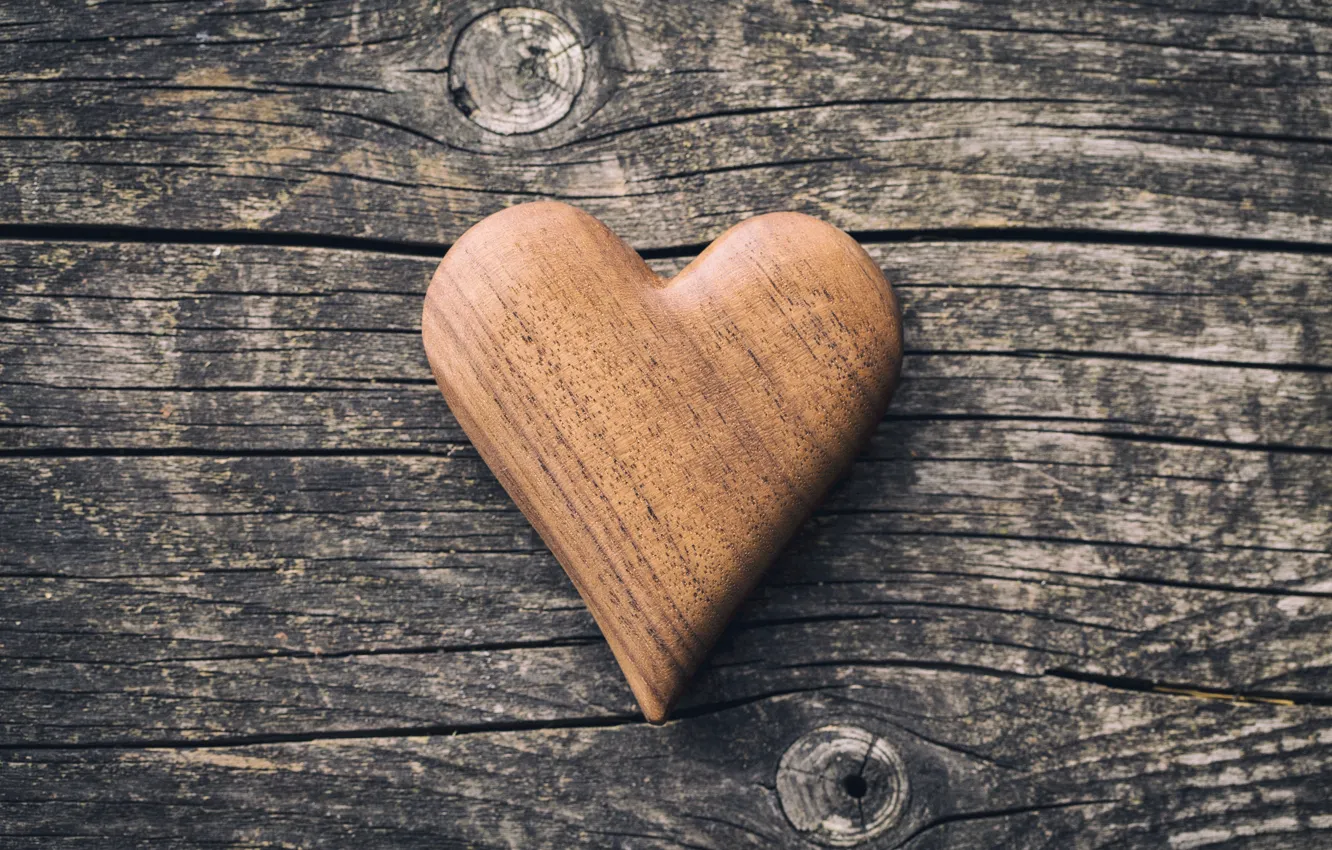 Photo wallpaper hearts, love, wood, romantic, hearts, wooden, valentine's day