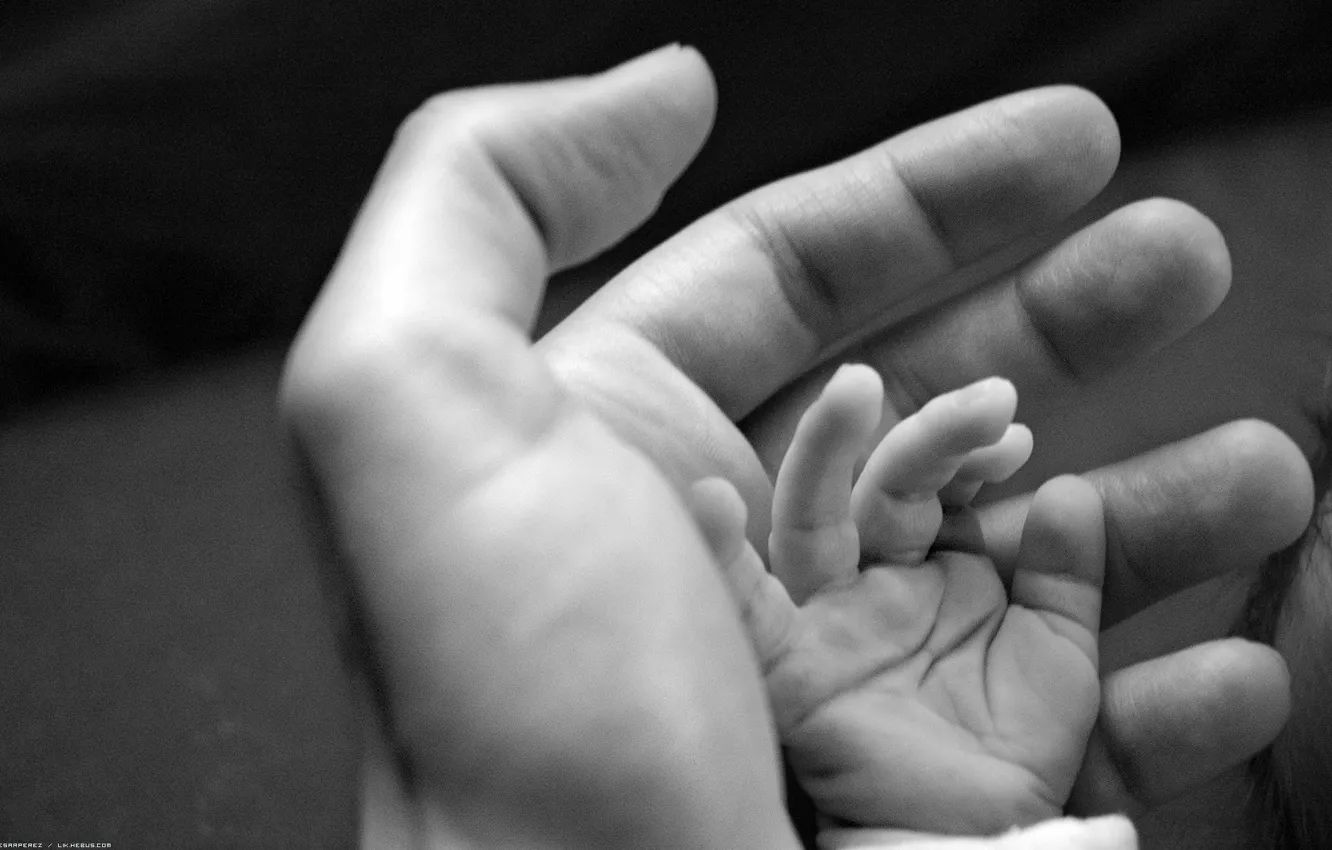 Photo wallpaper hands, father, baby