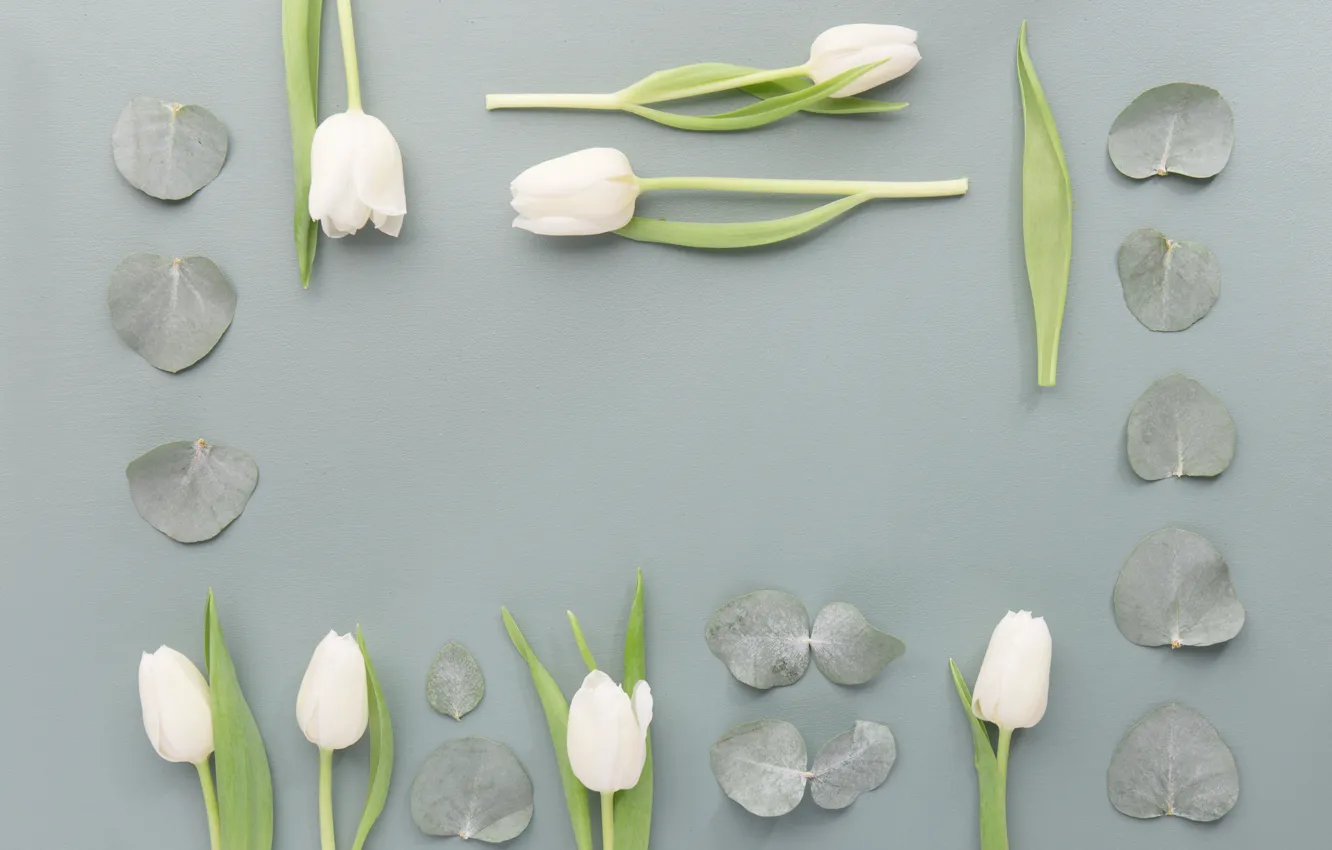 Photo wallpaper leaves, flowers, White, Tulips
