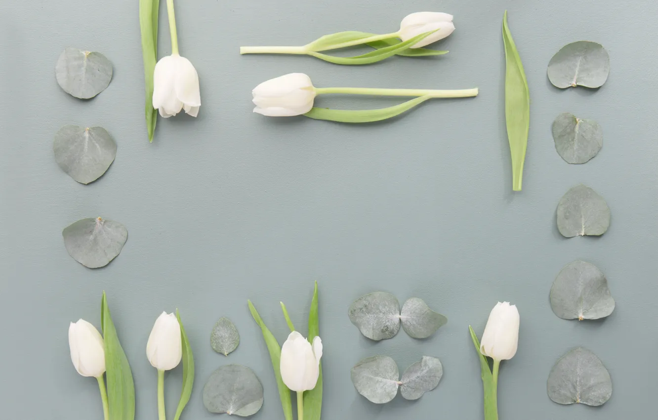 Photo wallpaper white, leaves, flowers, tulips