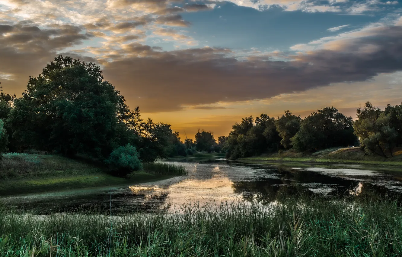 Photo wallpaper green, trees, sunset, water