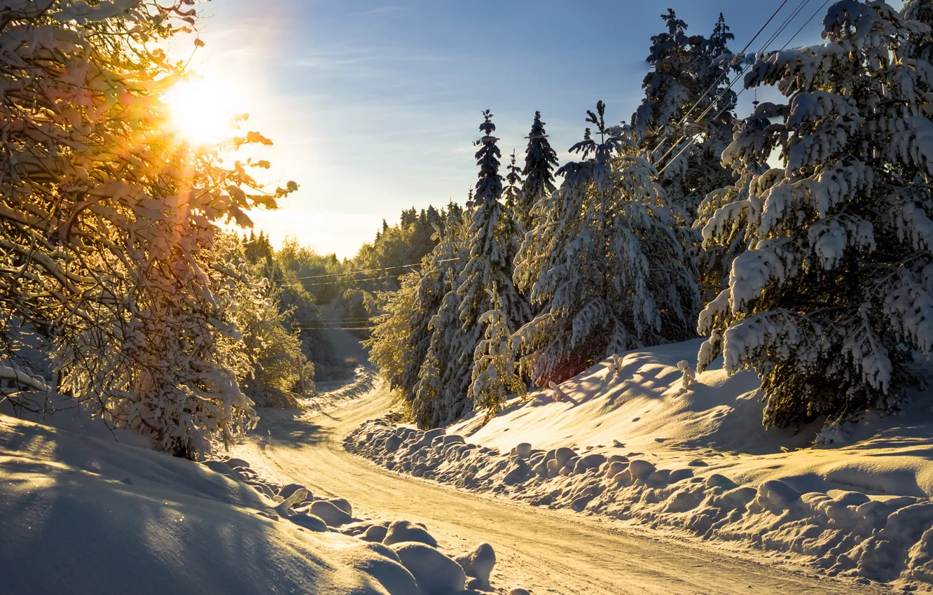 Photo wallpaper winter, snow, landscape