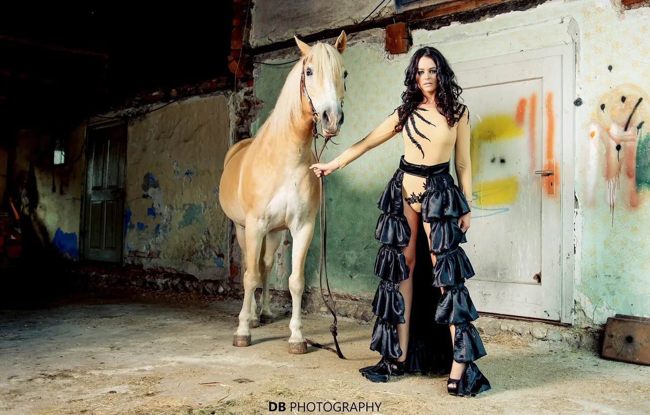 Photo wallpaper horse, Girl, girl