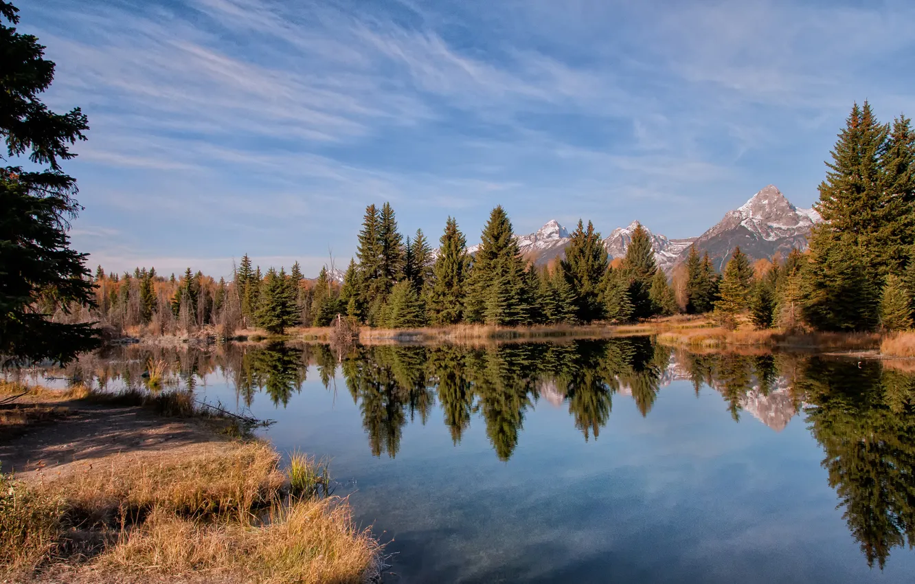Photo wallpaper forest, trees, mountains, lake, river, spruce, Sunny