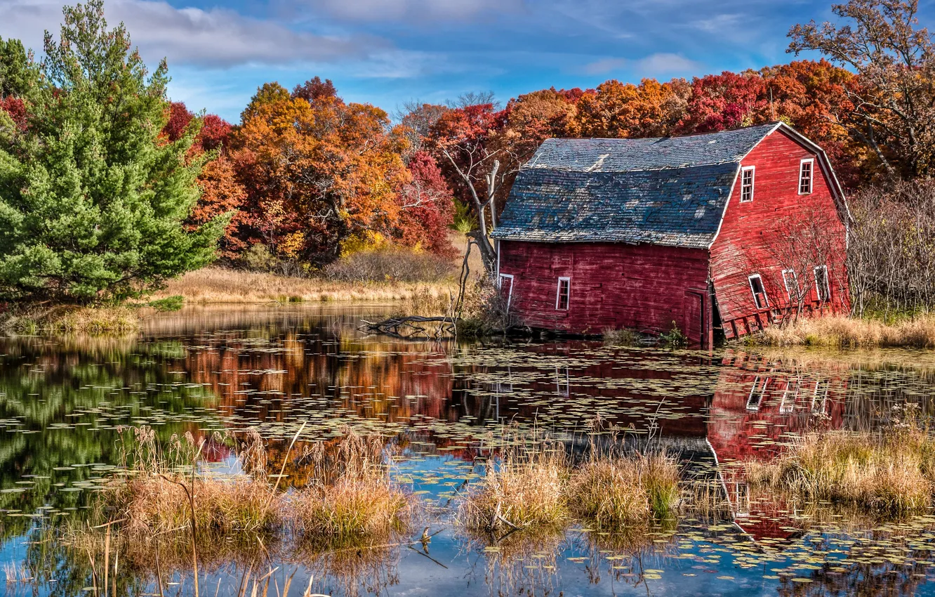 Photo wallpaper trees, lake, reflection, mirror, the barn, solar, refused