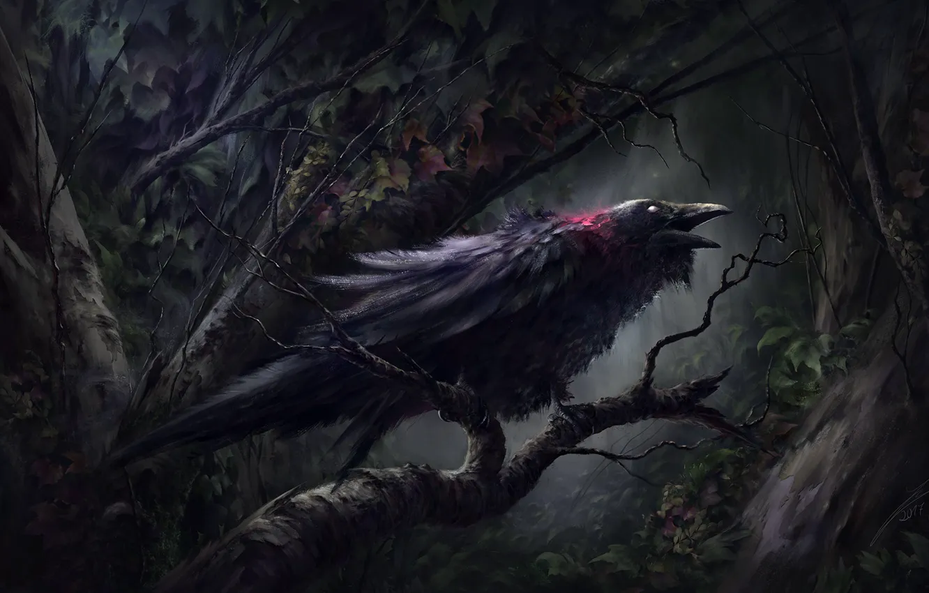 Photo wallpaper blood, dark forest, in the dark, damn place, black Raven