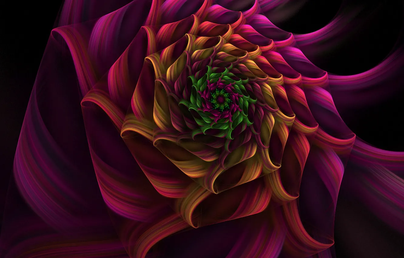 Photo wallpaper flower, paint, spiral, the volume
