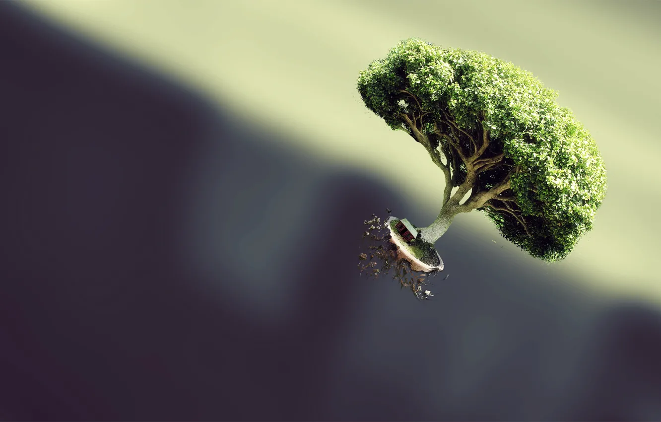Photo wallpaper tree, plant, weightlessness, soaring