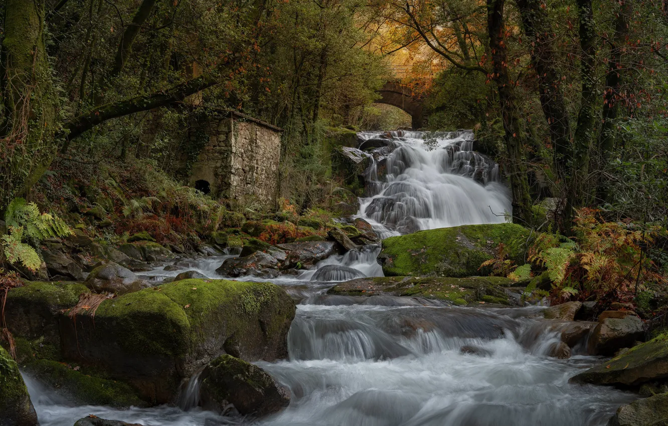 Photo wallpaper forest, house, stream, waterfall, river, Spain, cascade, Galicia