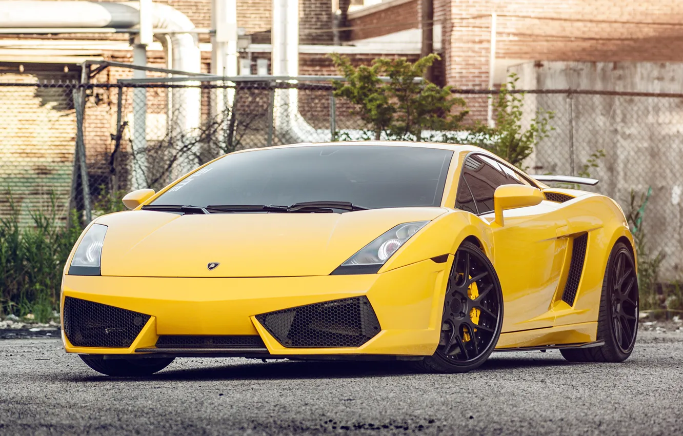 Photo wallpaper yellow, Lamborghini, Gallardo, Lamborghini, yellow, front, Gallardo