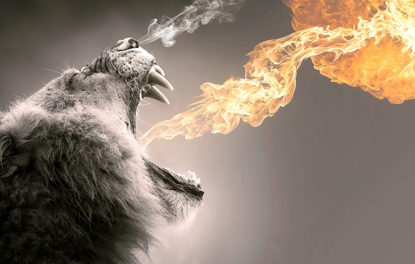 Photo wallpaper lights, flame, smoke, Leo, head, mouth, mane, fangs