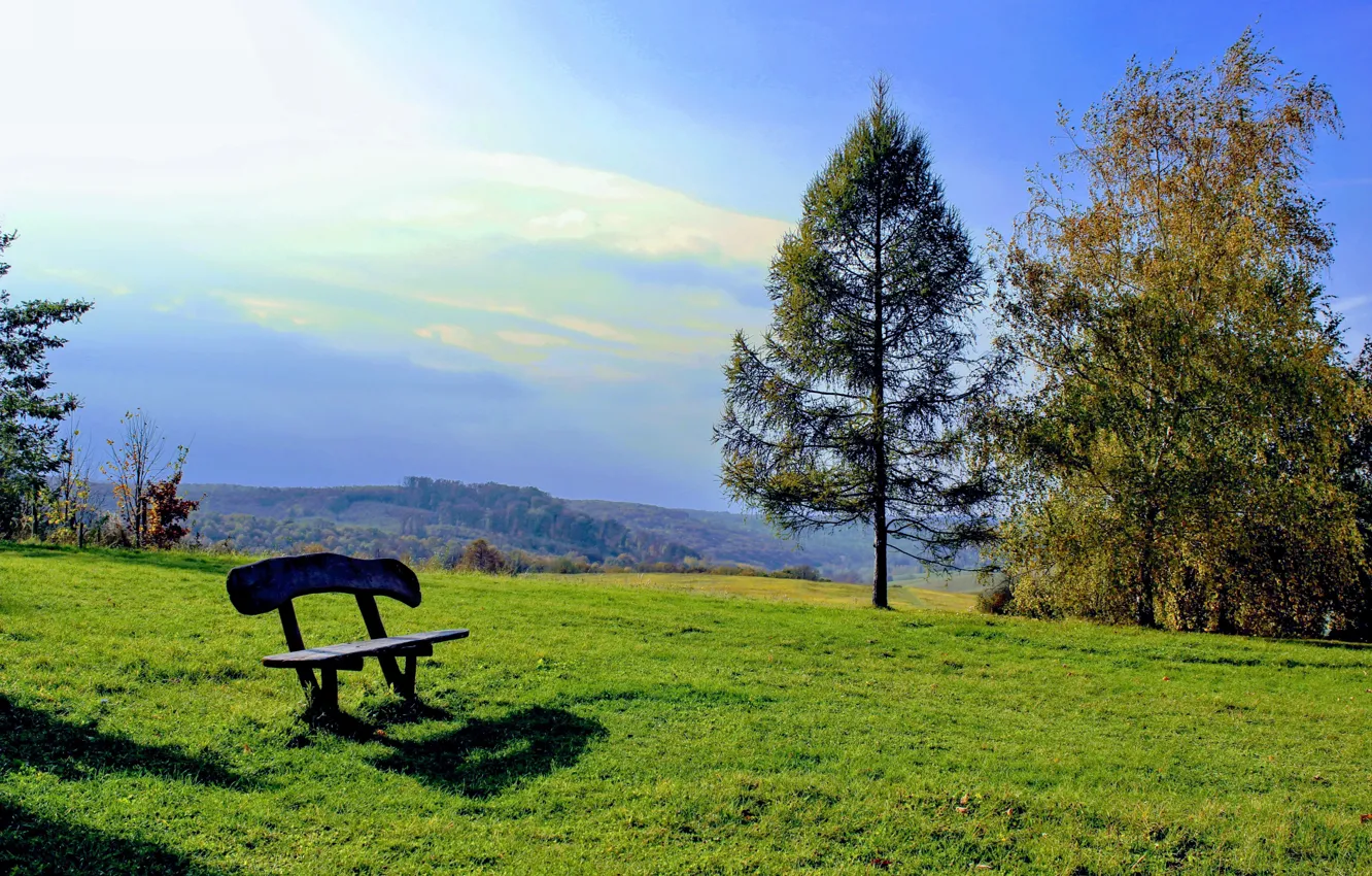 Photo wallpaper trees, relax, glade, resort, bench, Hungary, Orfű