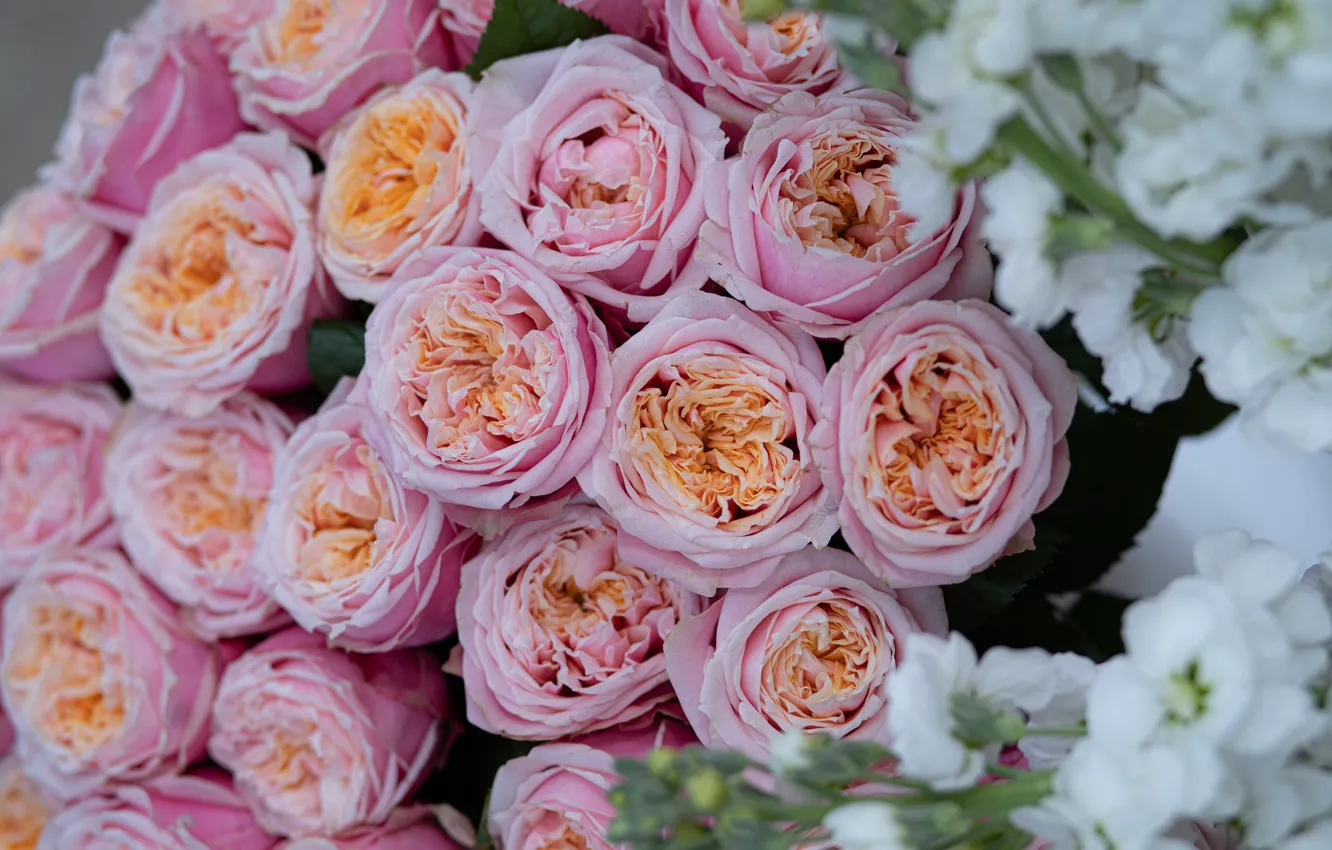 Photo wallpaper flowers, roses, bouquet, pink, white, different