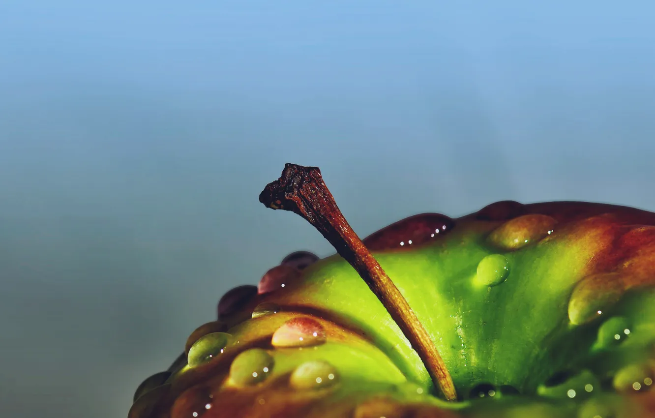 Photo wallpaper drops, blue, apples