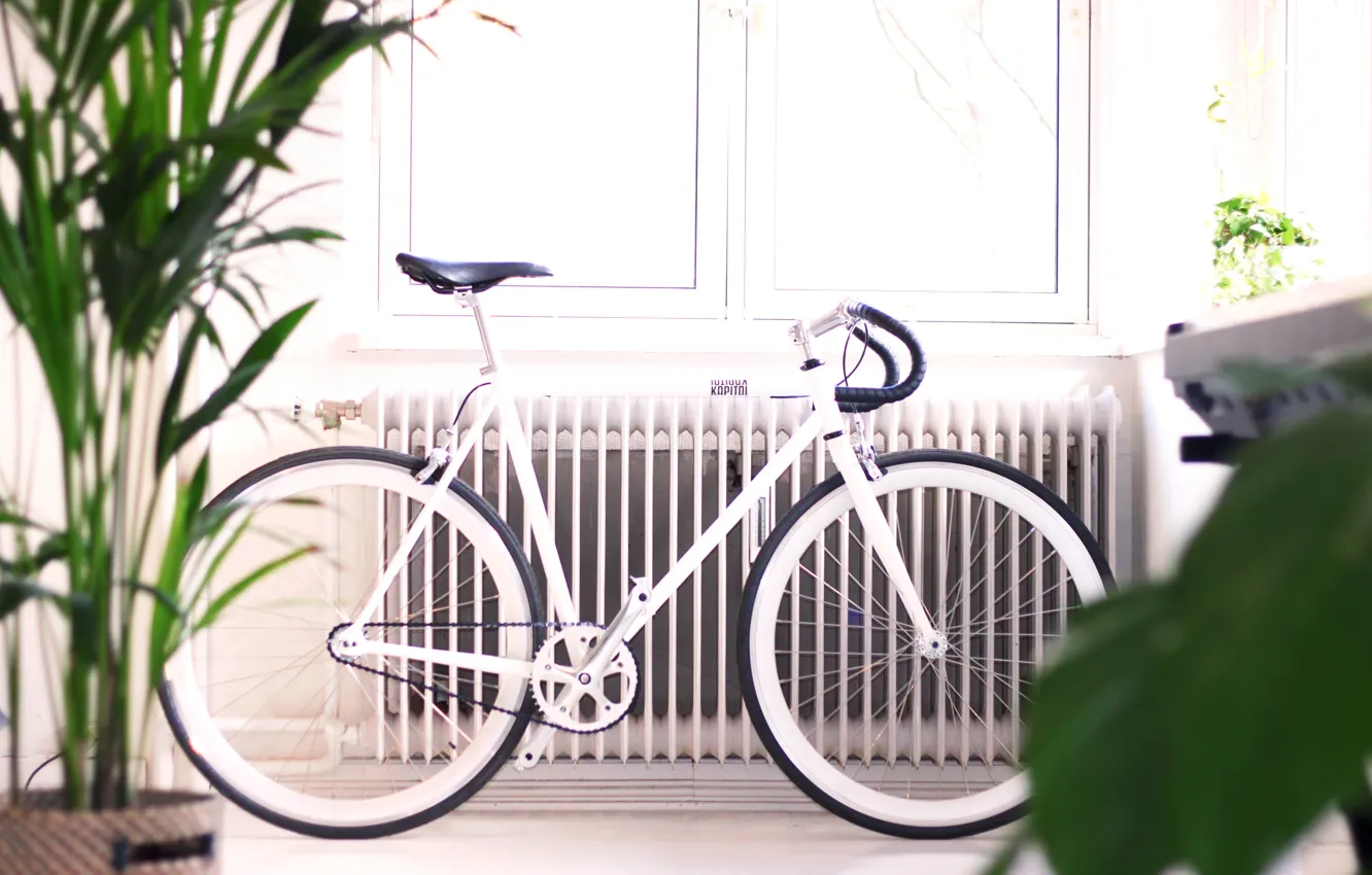 Photo wallpaper white, bike, white, bicycle, bike, Capitol, handmade, singlespeed