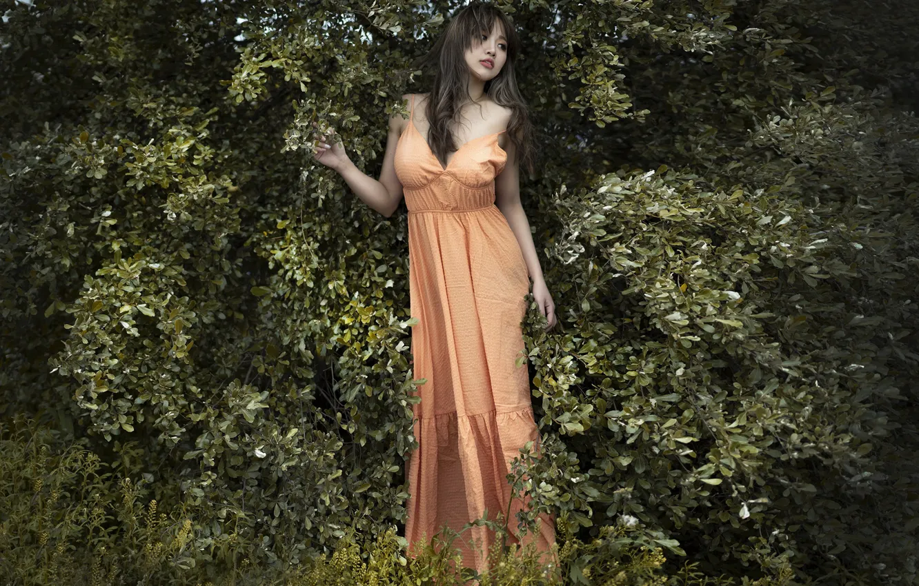 Photo wallpaper girl, nature, Asian