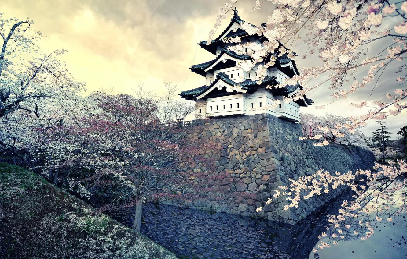 Photo wallpaper the city, spring, Japan, Sakura