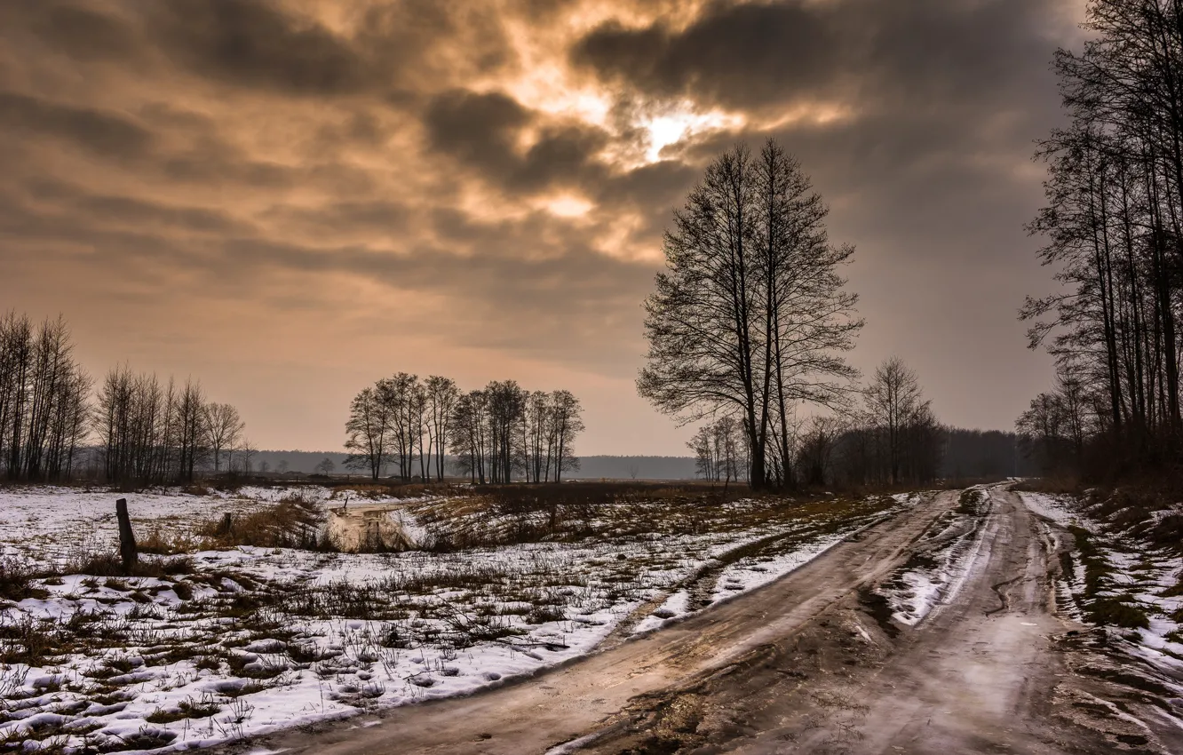 Photo wallpaper winter, road, field, forest, the sky, clouds, snow, trees