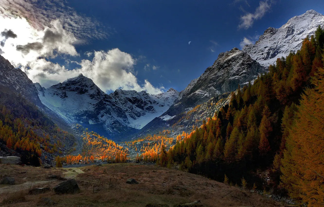 Photo wallpaper autumn, trees, mountains, valley, Alps, Italy, Italy, Alps