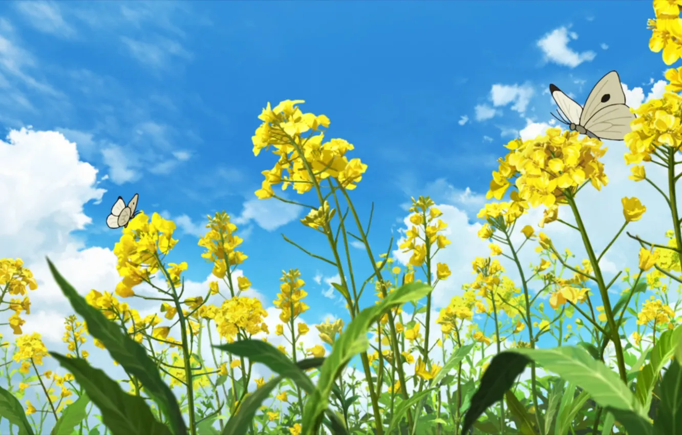 Photo wallpaper the sky, butterfly, plant