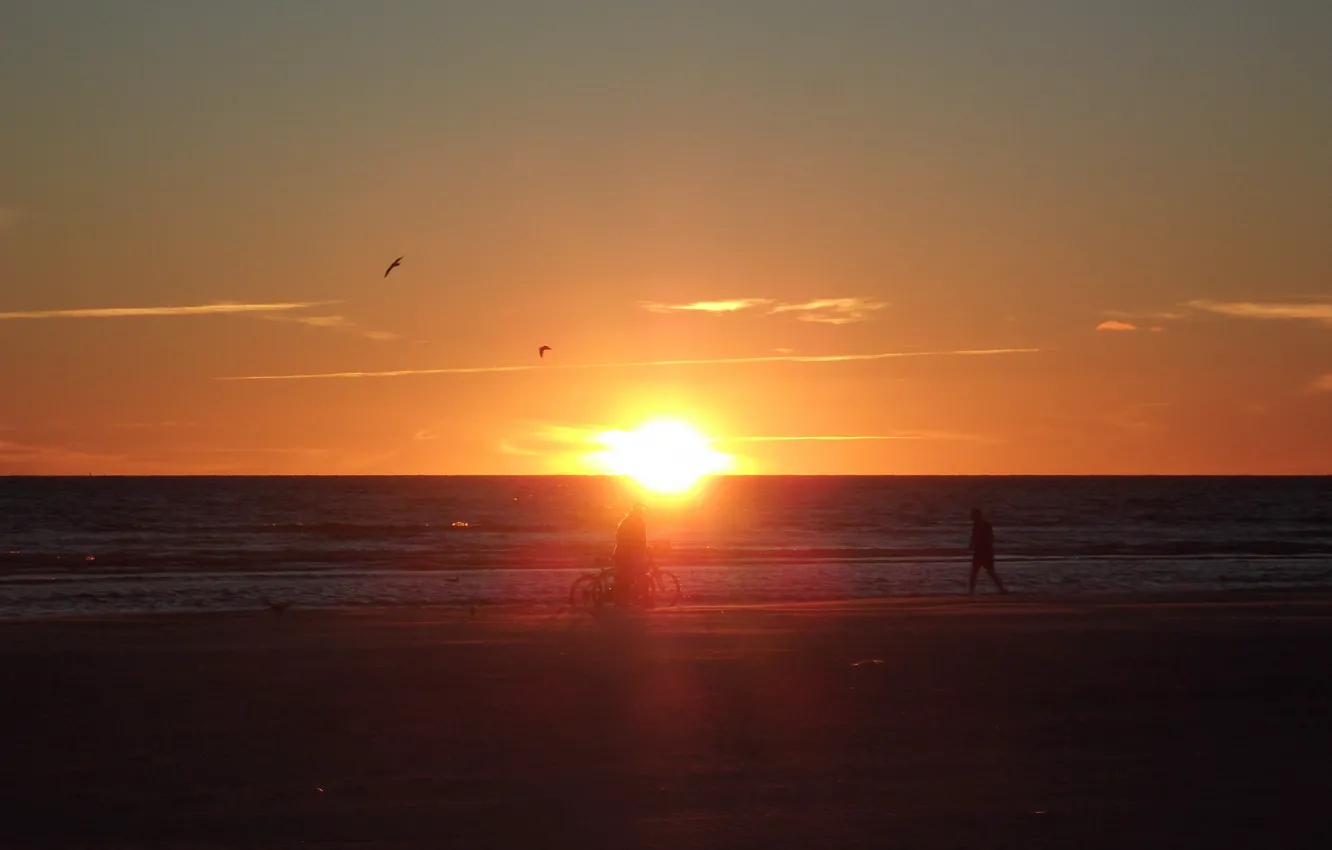 Photo wallpaper beach, summer, sunset, people, beach, sunset