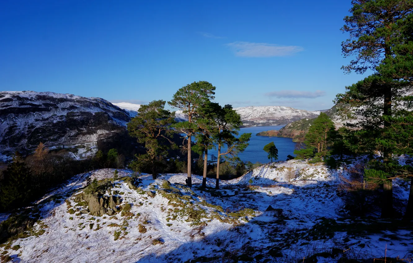 Photo wallpaper winter, forest, the sky, the sun, snow, trees, mountains, river