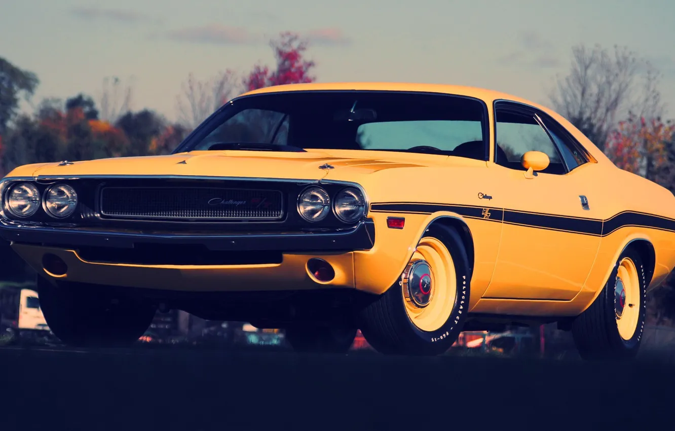 Photo wallpaper yellow, Dodge, Challenger
