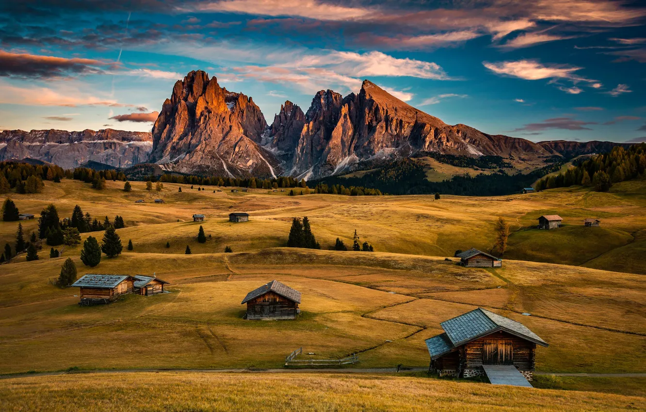 Photo wallpaper field, Alps, house