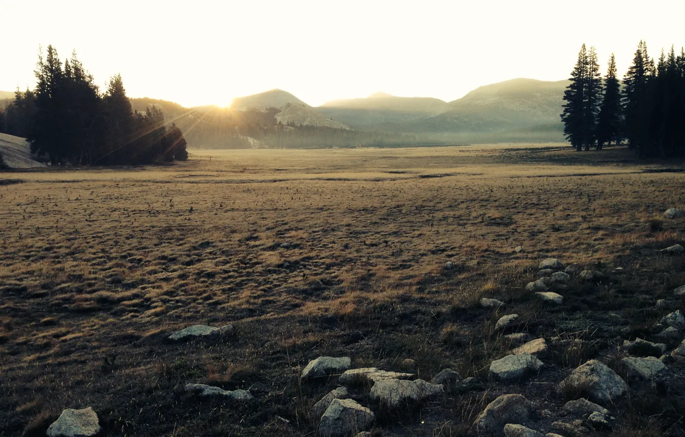 Photo wallpaper mountains, morning, sunrise, Tuolumne Meadows