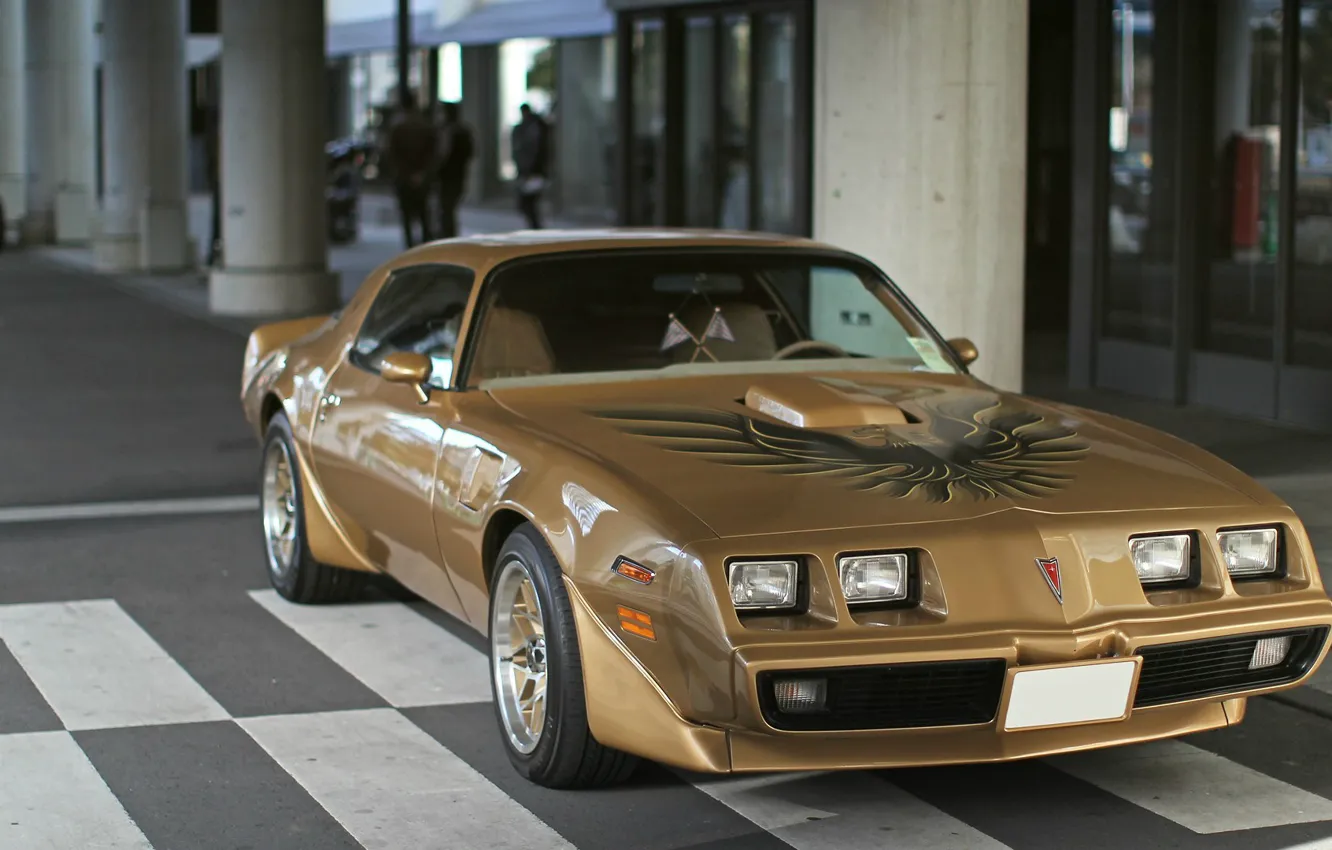 Photo wallpaper Pontiac, Firebird, Trans Am