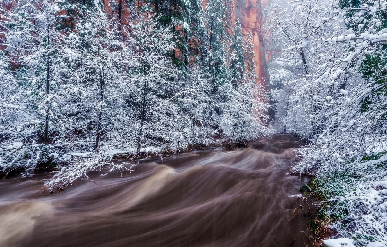 Photo wallpaper snow, trees, landscape, mountains, river, stream