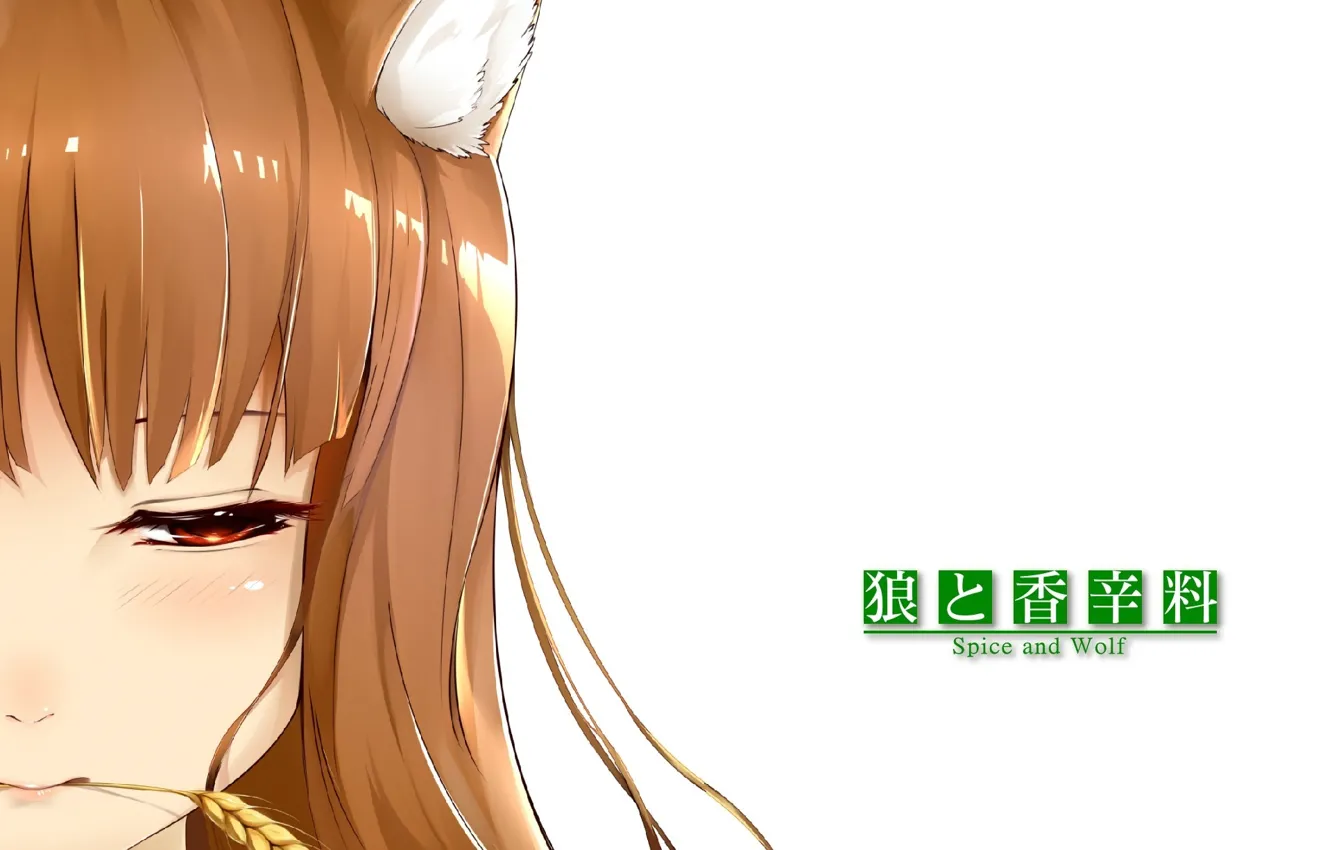 Photo wallpaper face, white background, red, ears, spice and wolf, spike, horo, bangs