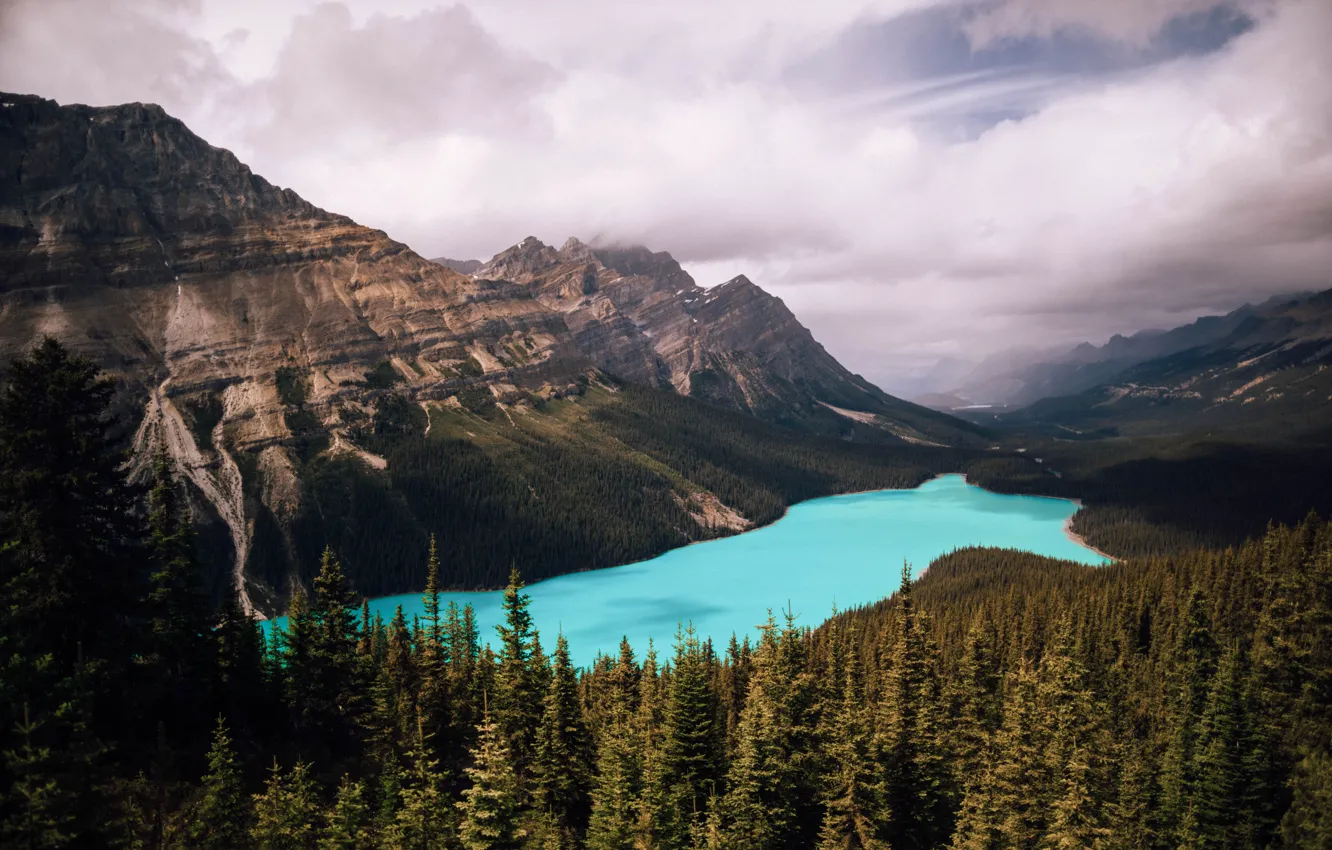 Photo wallpaper forest, freedom, clouds, mountains, lake, space, space, freedom