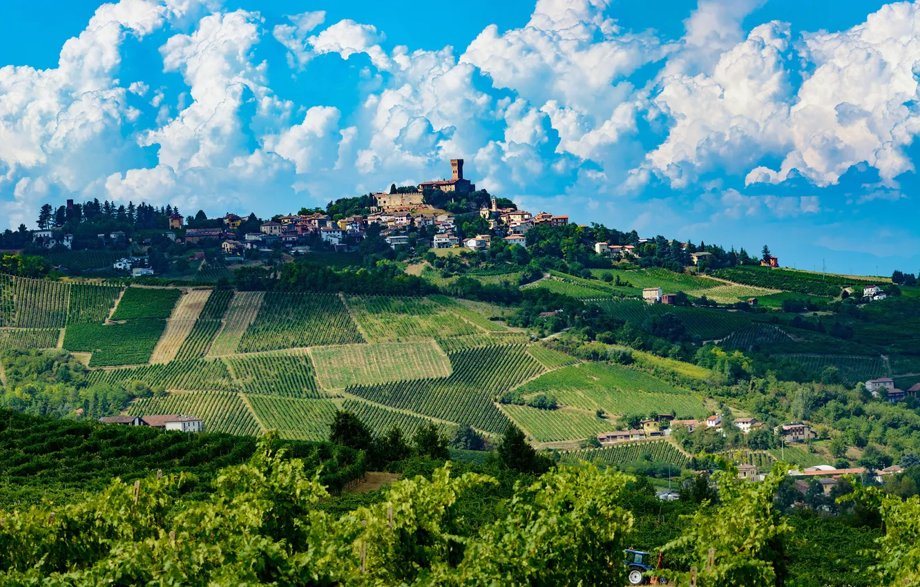 Photo wallpaper clouds, hills, Italy, vineyard, Oltrepo Pavese