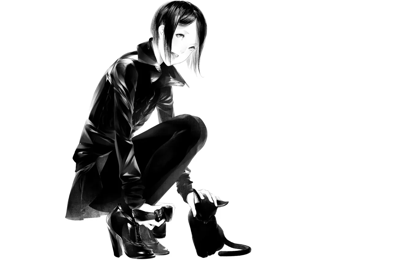 Photo wallpaper cat, girl, art, the camera, Sawasawa