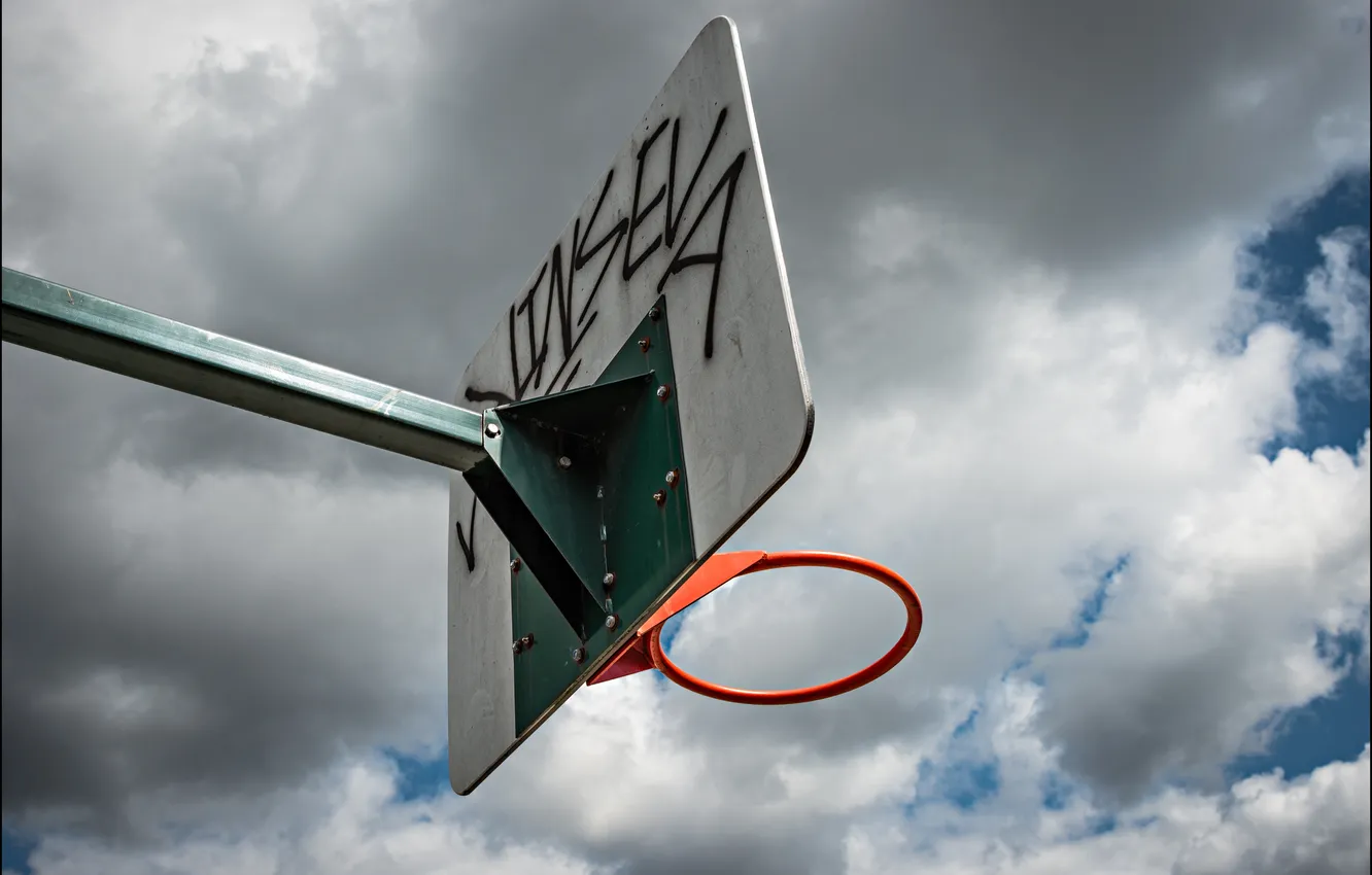 Photo wallpaper sport, ring, shield