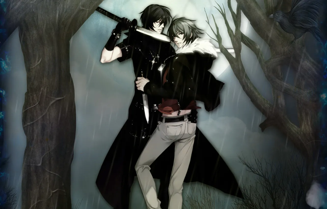 Photo wallpaper night, weapons, rain, bird, the moon, sword, dagger, guy