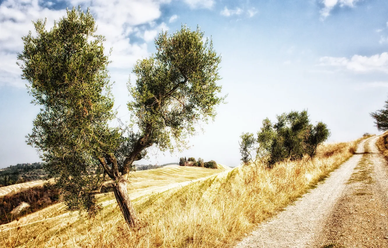 Photo wallpaper road, field, Toscana