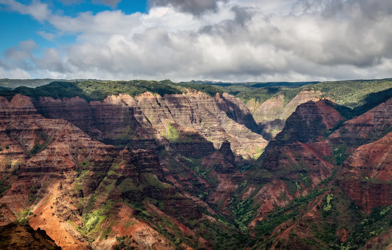 Photo wallpaper nature, canyon, Waimea canyon