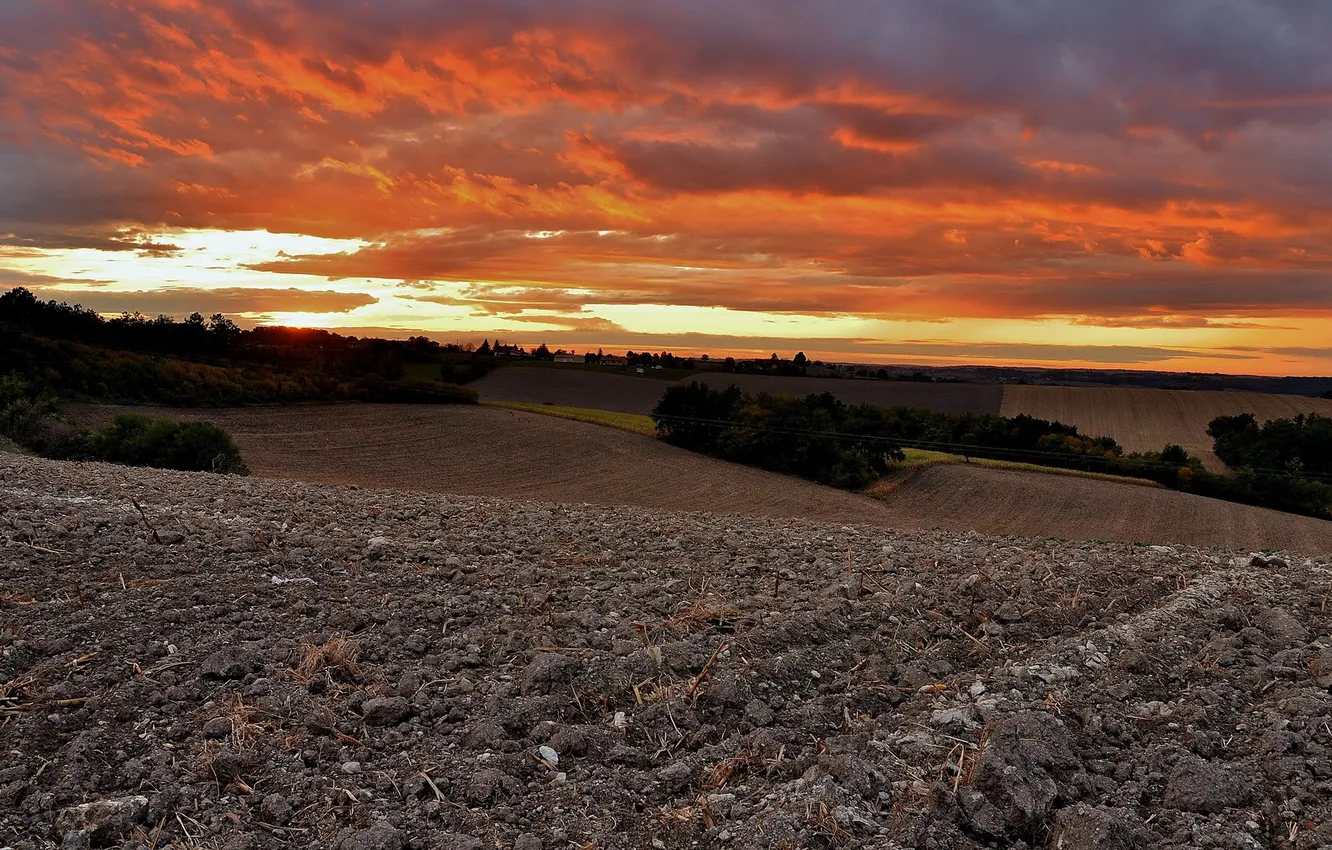 Photo wallpaper field, landscape, sunset