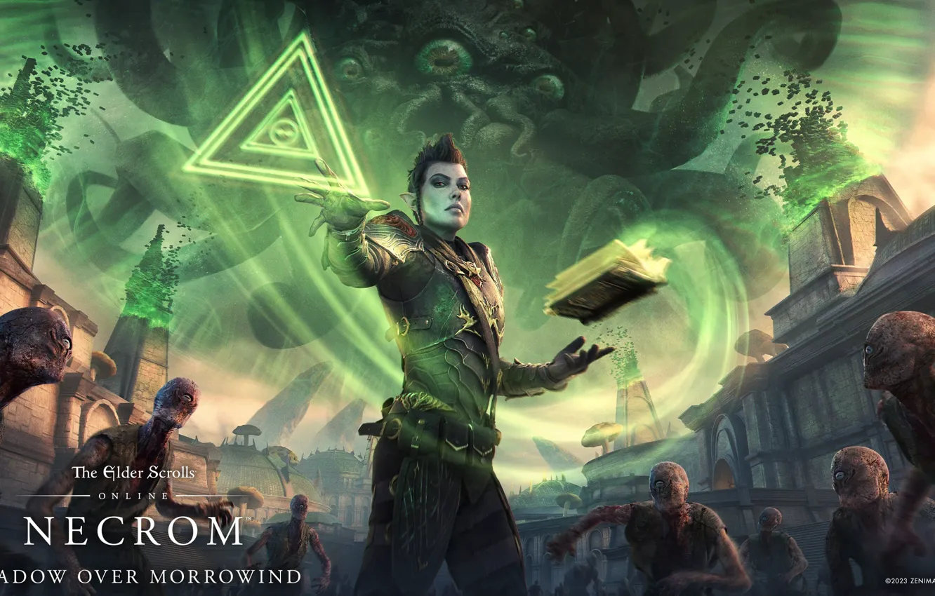 Photo wallpaper elf, the elder scrolls, The Elder Scrolls Online, The Shadow over Morrowind, The Elder Scrolls …