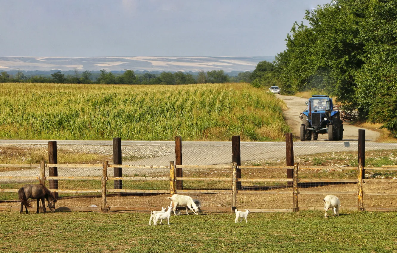 Photo wallpaper tractor, farm, ranch