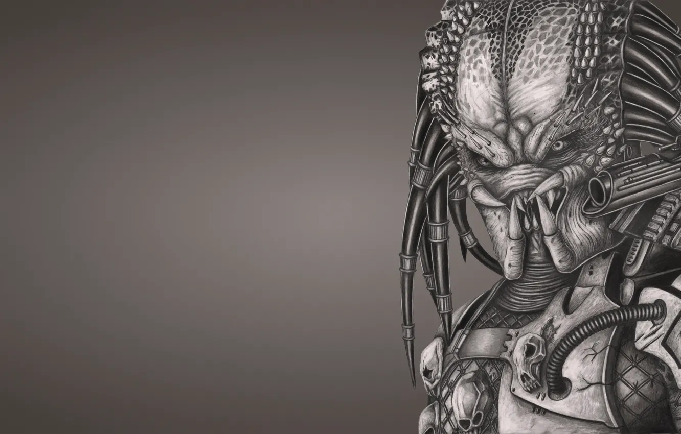 Photo wallpaper weapons, monster, predator, alien, alien, Predator