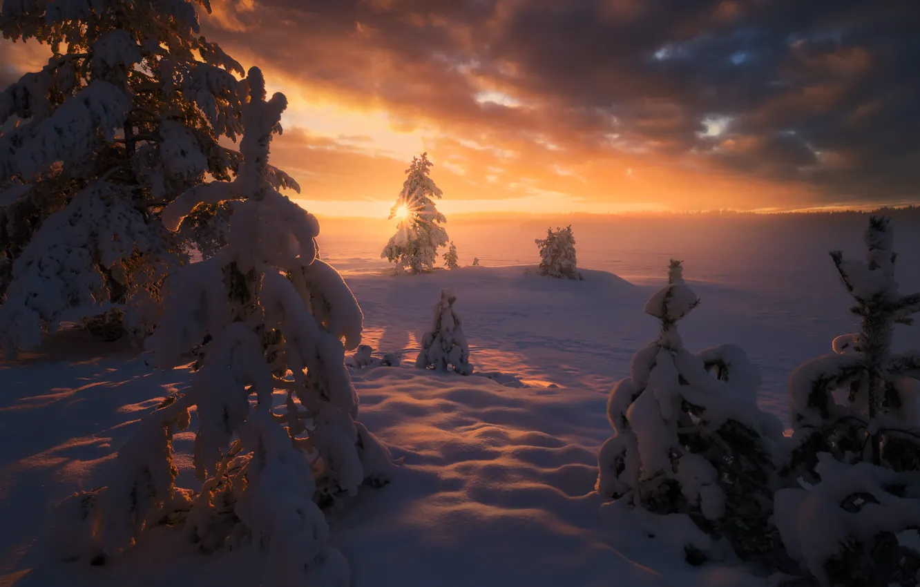 Photo wallpaper winter, the sun, snow, trees, landscape, sunset, nature, ate