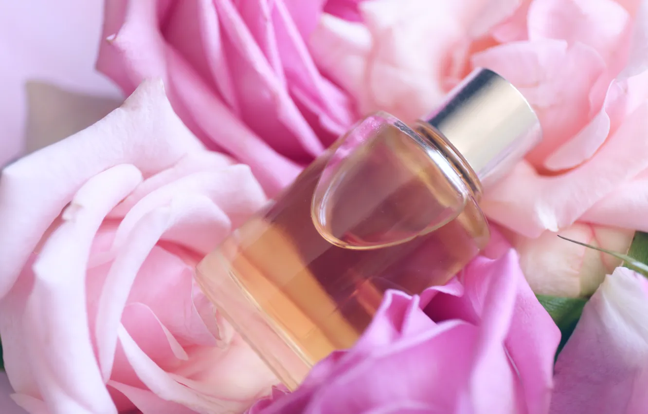 Photo wallpaper perfume, petals, rose, pink, petals, pink roses, spa, oil