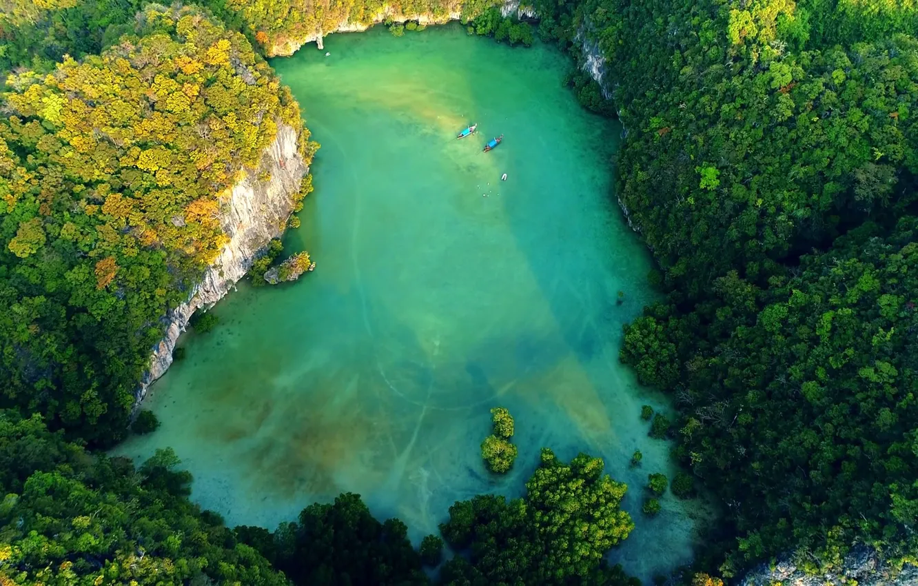Photo wallpaper forest, rocks, top, Thailand, Krabi, Krabi, natural pool, natural swimming pool at Phi Phi Leh …