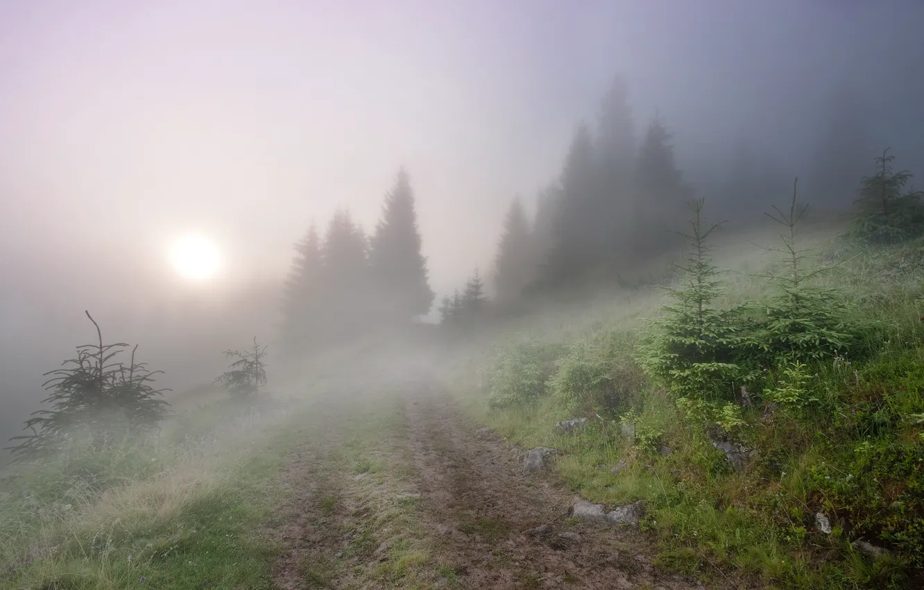 Photo wallpaper landscape, fog, morning